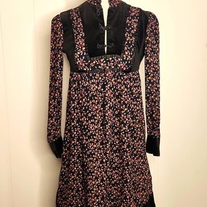 Ragtime Vintage Dark floral velvet whimsigoth  Empire Buttons  dress